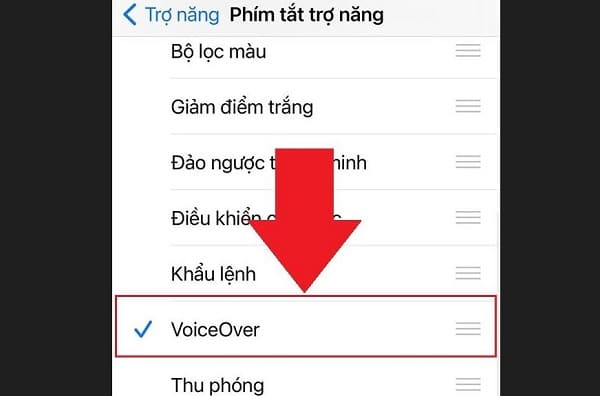 Cài đặt VoiceOver